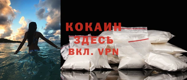 ECSTASY Дмитриев