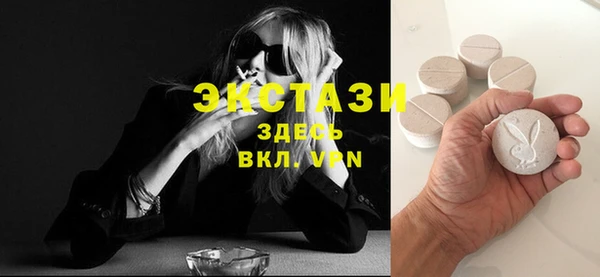 стаф Дмитровск