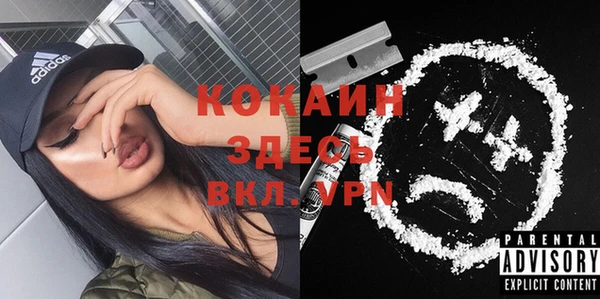 PSILOCYBIN Елизово