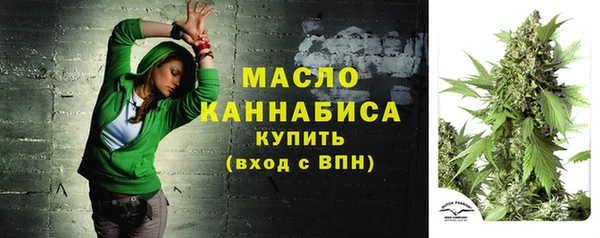стаф Дмитровск