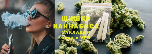 ECSTASY Дмитриев